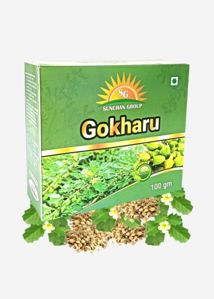 Sunchan Group Gokharu / Gokshura / Gokhru / Tribulus terrestris Sabut whole Gokharu 100 Gm Pack of 1