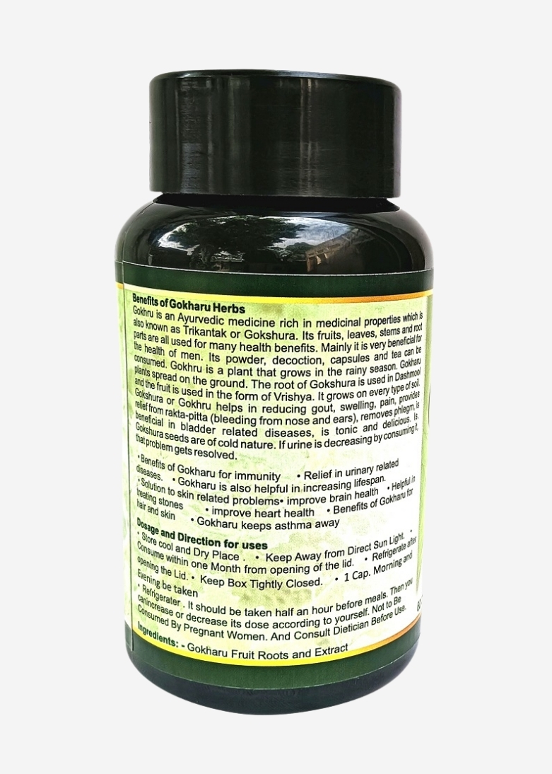 Sunchan Group Gokharu Capsule / Gokshura / Gokhru / Tribulus terrestris Sabut whole Gokharu 60 Capsules Pack of 1 - Image 2