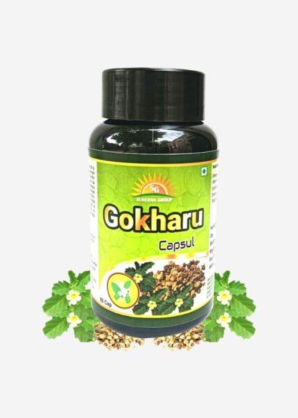 Sunchan Group Gokharu Capsule / Gokshura / Gokhru / Tribulus terrestris Sabut whole Gokharu 60 Capsules Pack of 1