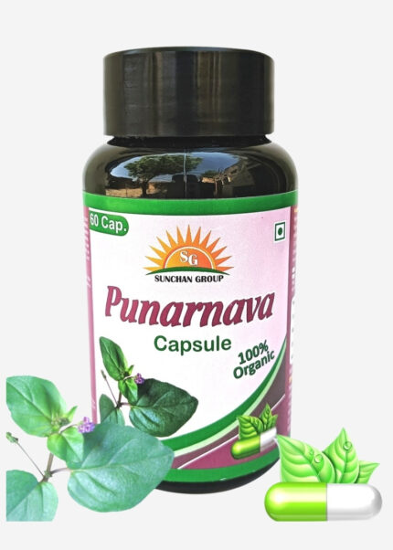Sunchan Group Punarnava Capsules Pack of 60 / Boerhavia diffusa Capsules / Liver and Kidney Health / Herbal mix Immunity Power & Body Detox Pack of 1