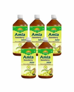 Group 1171277258 Amla juice